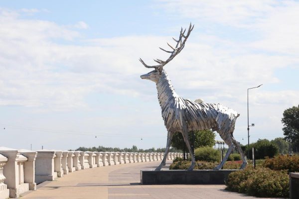 Теплая и сухая погода ожидает нижегородцев в ближайшие выходные