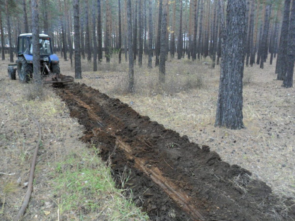 Противопожарное обустройство лесов Нижегородской области выполнено на 85%