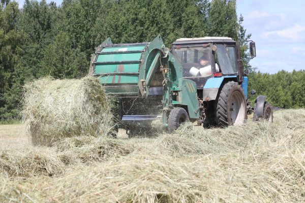 Глеб Никитин: «В социально-значимой отрасли — сельском хозяйстве — рост составил 5,1%»