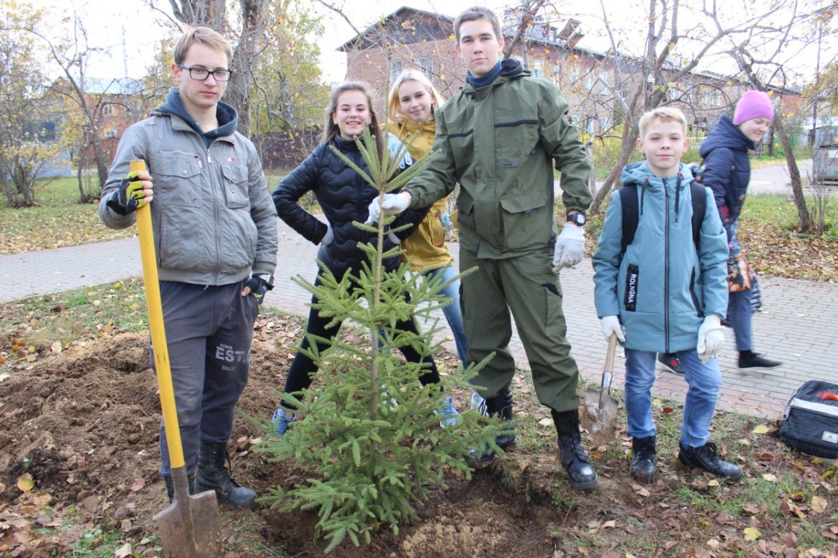 Экологический проект «Хвойный город» стартовал в Нижнем Новгороде