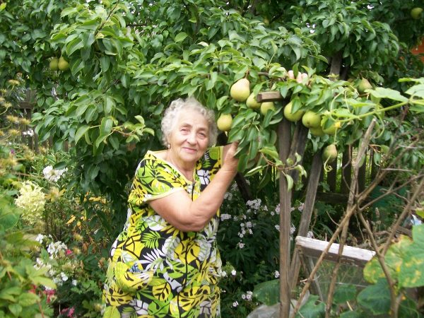 Известный заволжский садовод дала советы по правильному сбору и хранению урожая