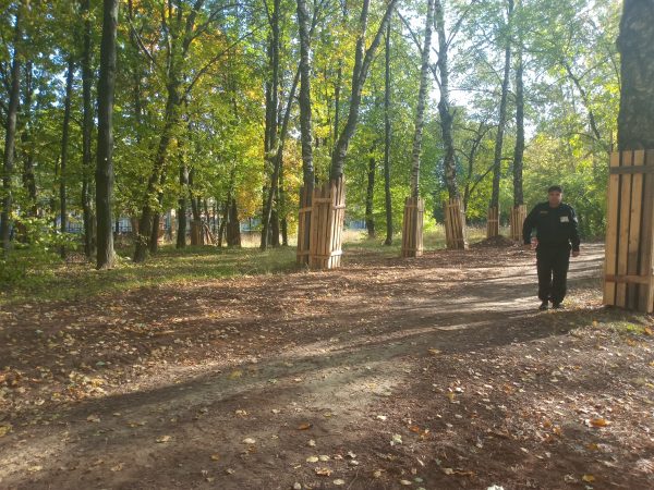 В нижегородском парке «Швейцария» может пройти акция «Семейное дерево»