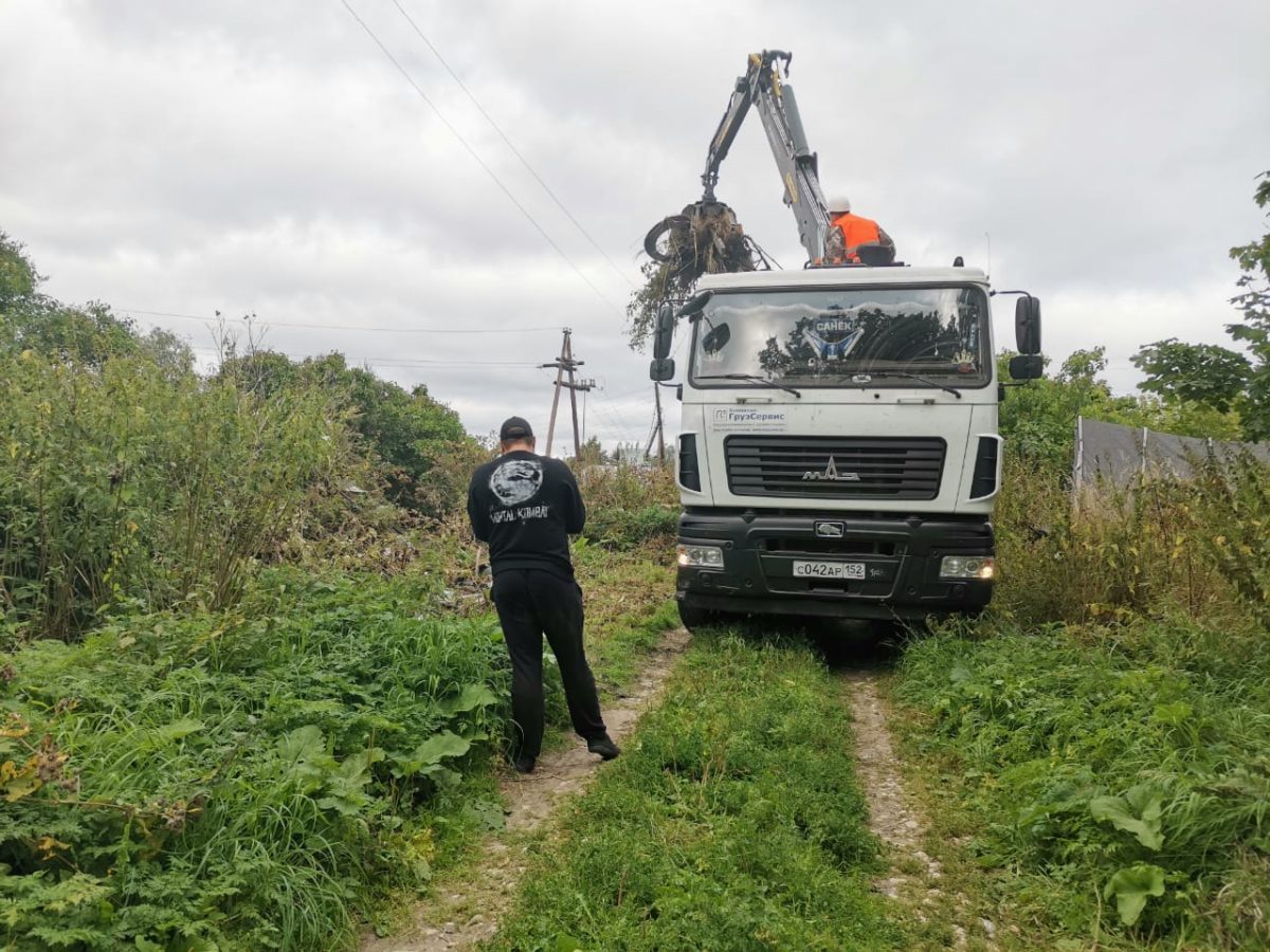 Огромную свалку в посёлке Доскино Богородского района ликвидировали