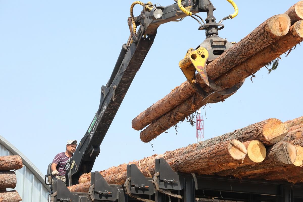 Производство товаров в деревообрабатывающей отрасли региона выросло более чем на 11% за год