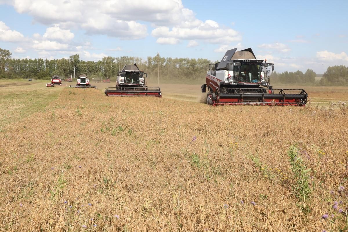 Нижегородские аграрии собрали 1 миллион 100 тысяч тонн зерна нового урожая