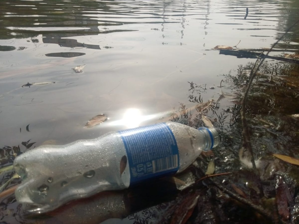 Озера Больничное и Сортировочное в Канавинском районе планируют расчистить от мусора