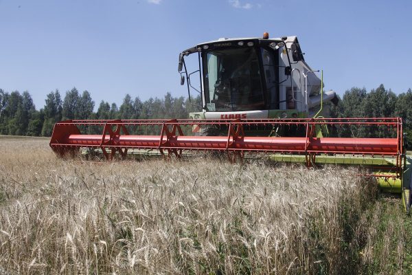 Пошли на рекорд: Сеченовский район стал лидером по урожаю зерна