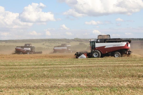 План по уборке зерна в Нижегородской области перевыполнили на 20%