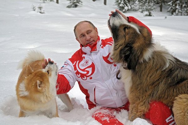 Собаки, пони и эротический календарь: самые необычные подарки Владимиру Путину