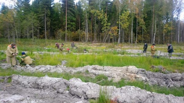 В Нижегородской области высадили более 200 тысяч деревьев в рамках акции «Сохраним лес»