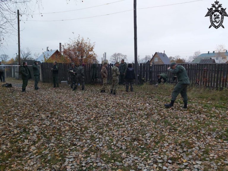 Погода в большеорловском поселке