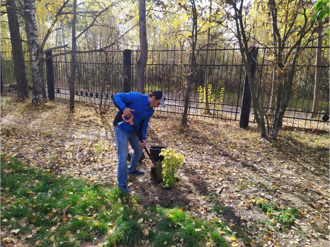 Около 60 деревьев высадили в Светлоярском парке взамен не прижившихся
