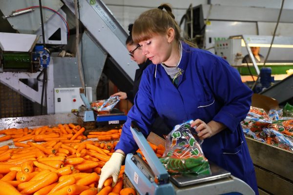 На всё готовое: какой бизнес продают и покупают чаще всего в Нижегородской области