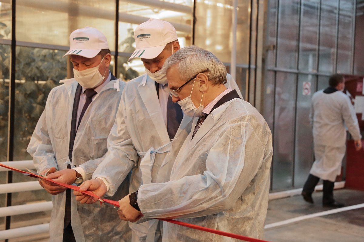В Нижегородской области открылась первая теплица для выращивания огурцов по технологии светокультуры