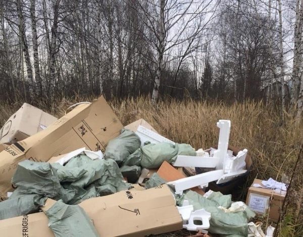 Виновных в несанкционированной свалке в Городецком районе привлекут к ответственности