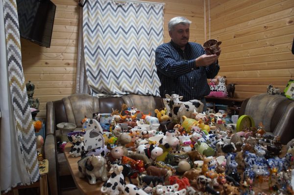 Нижегородский журналист рассказал, почему собирает фигурки коров и быков