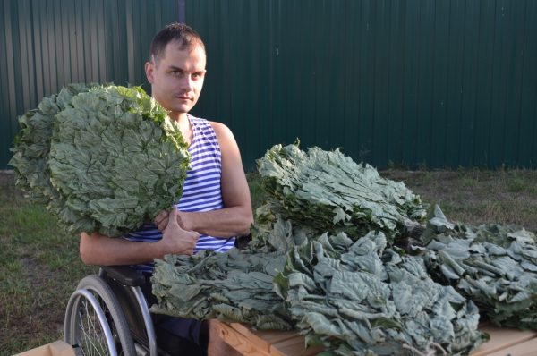 «Держится так, словно нет инвалидности»: нижегородец-колясочник сам зарабатывает на реабилитацию в Крыму