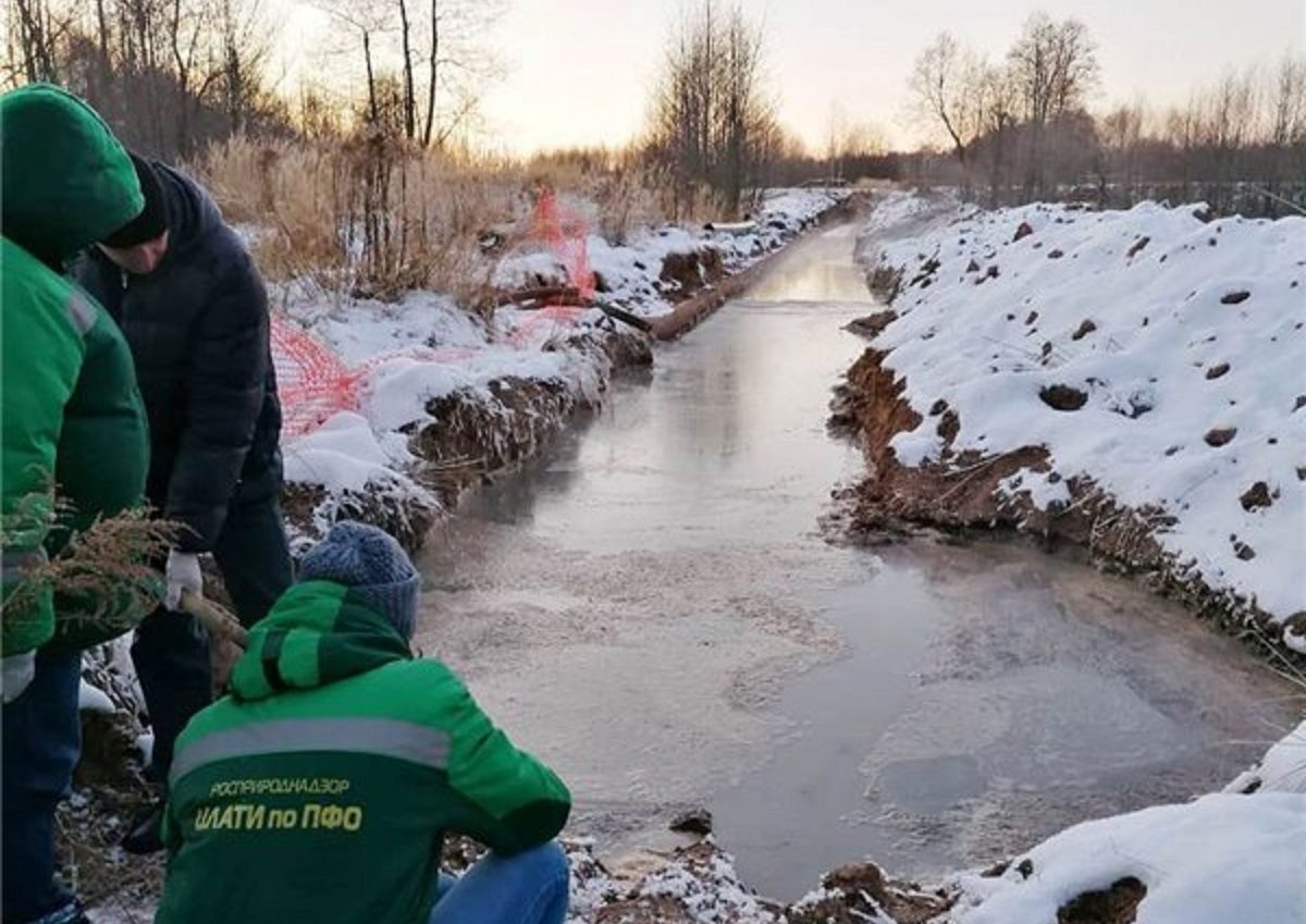 Вывести начистоту: как бдительность нижегородцев помогает бороться с экологическими проблемами региона