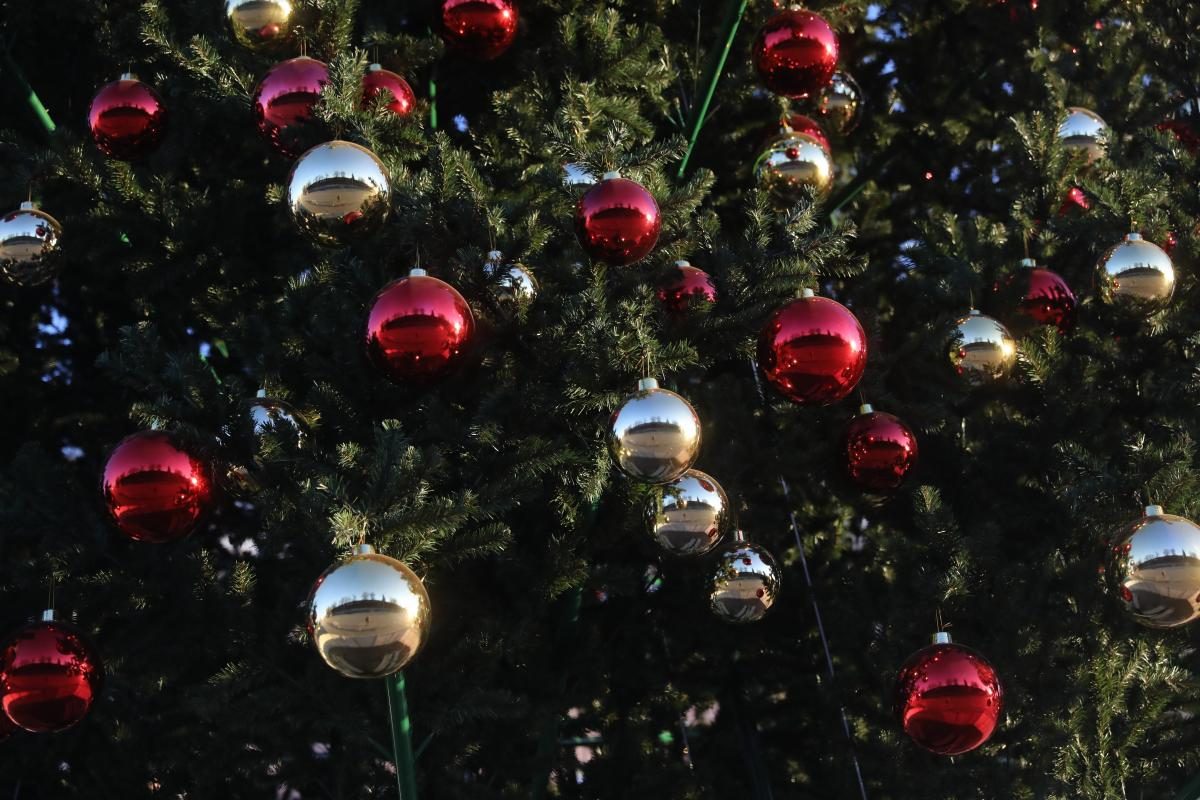 Новогодние елки для нижегородских парков приобрели за полмиллиона рублей