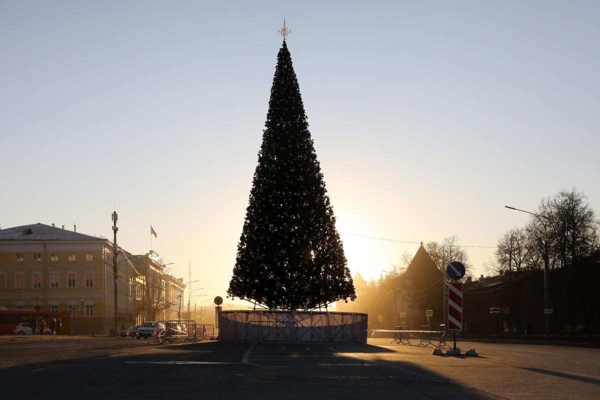 Новогодние елки нижний новгород. Главная елка Нижнего Новгорода 2022. Горьковская елка 2022 Нижний Новгород. Елка в Нижнем Новгороде 2022. Главная елка Нижнего Новгорода 2020.