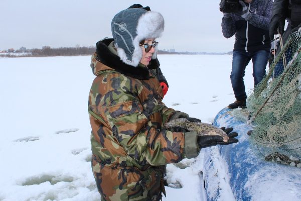 С 20 декабря в Нижегородской области вводятся ограничения на добычу налима