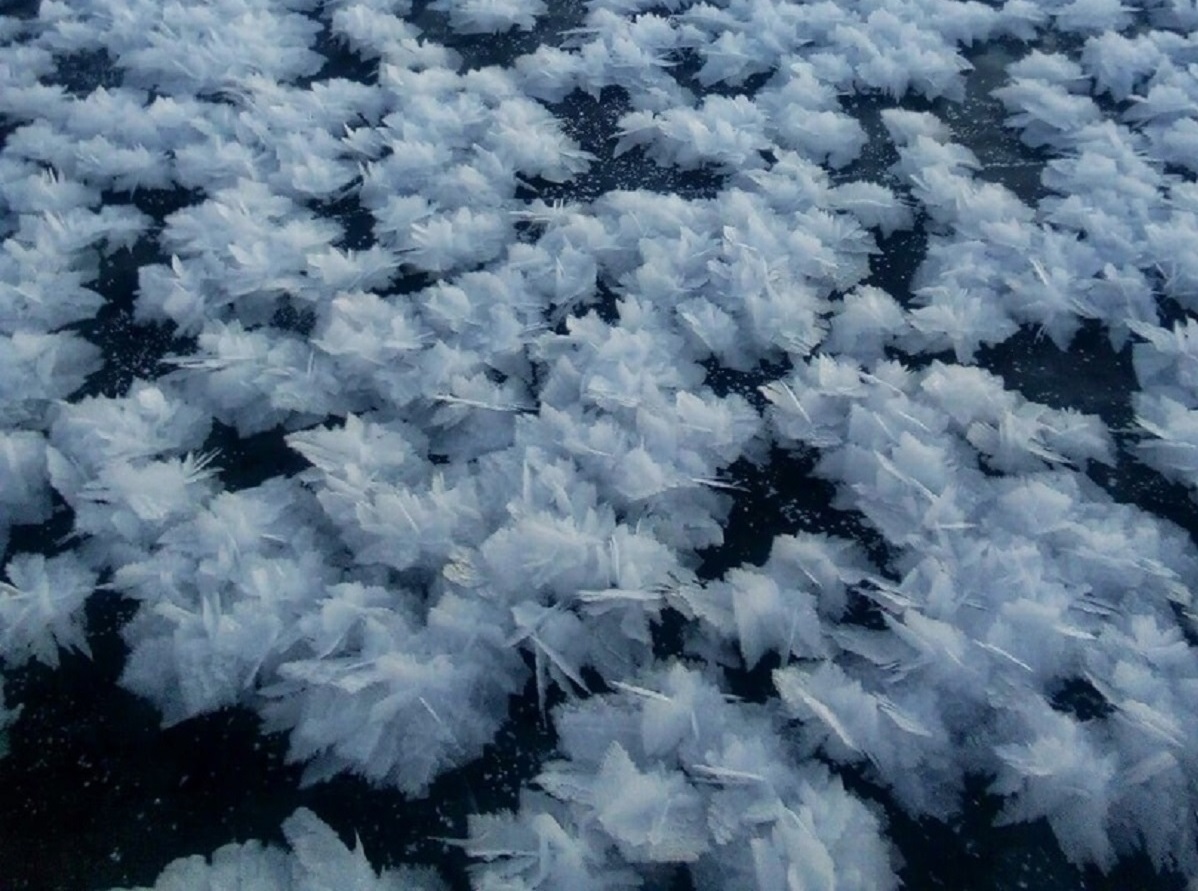 цветы из льда Воротынский район Волга