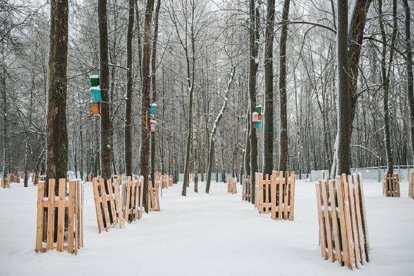 Центр гостеприимства для птиц планируют открыть в парке «Швейцария»