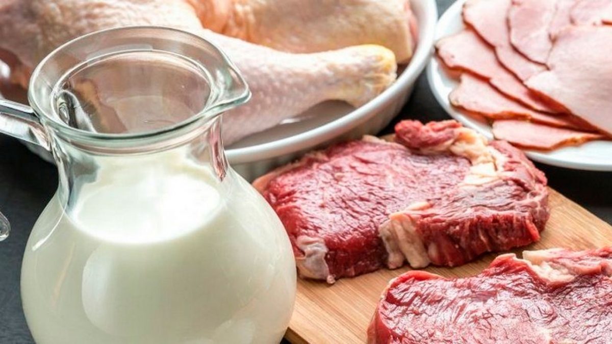 Производство молока и мяса увеличилось в Нижегородской области в 2020 году