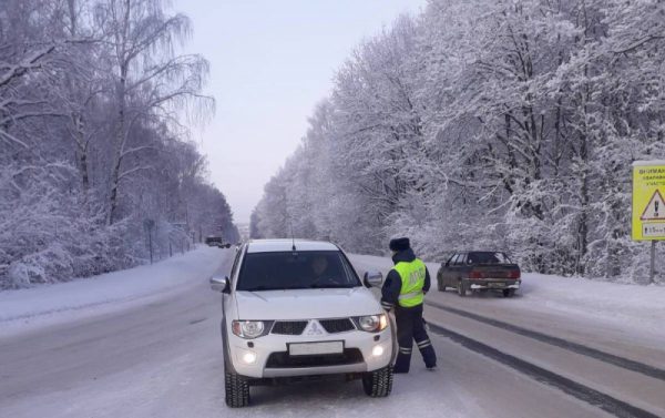 Сотрудники ГИБДД проверили нижегородских автомобилистов на трезвость