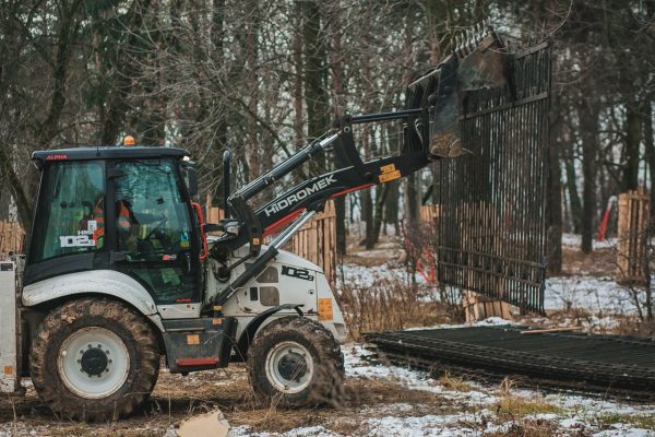 Стало известно, как отреставрируют входы и ограды парка «Швейцария»