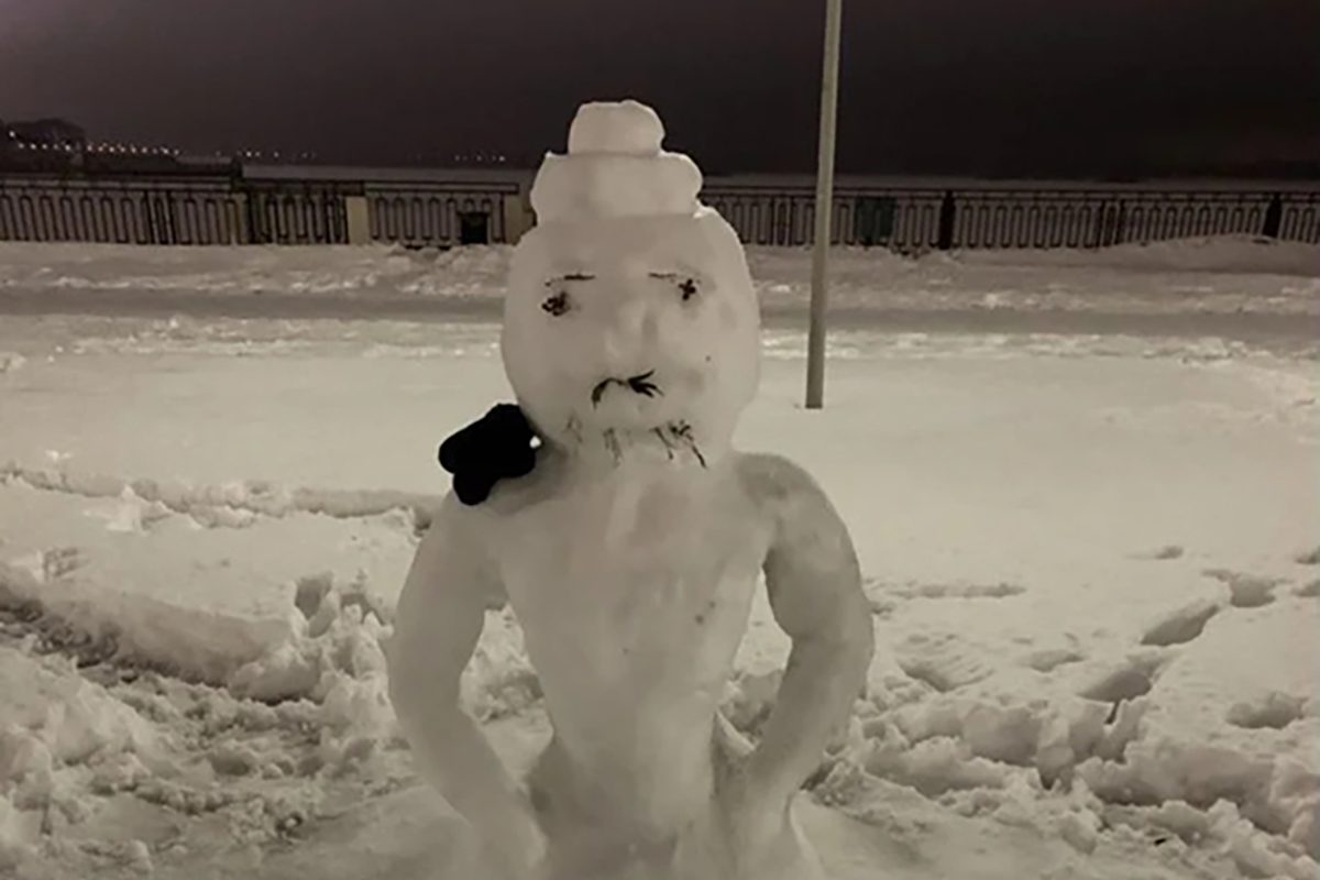 Нижегородец решил продать на Avito снеговика