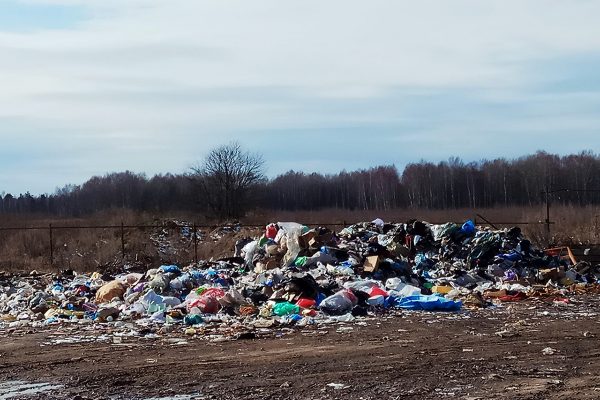 Активисты ОНФ помогли ликвидировать несанкционированные свалки в Нижегородской области