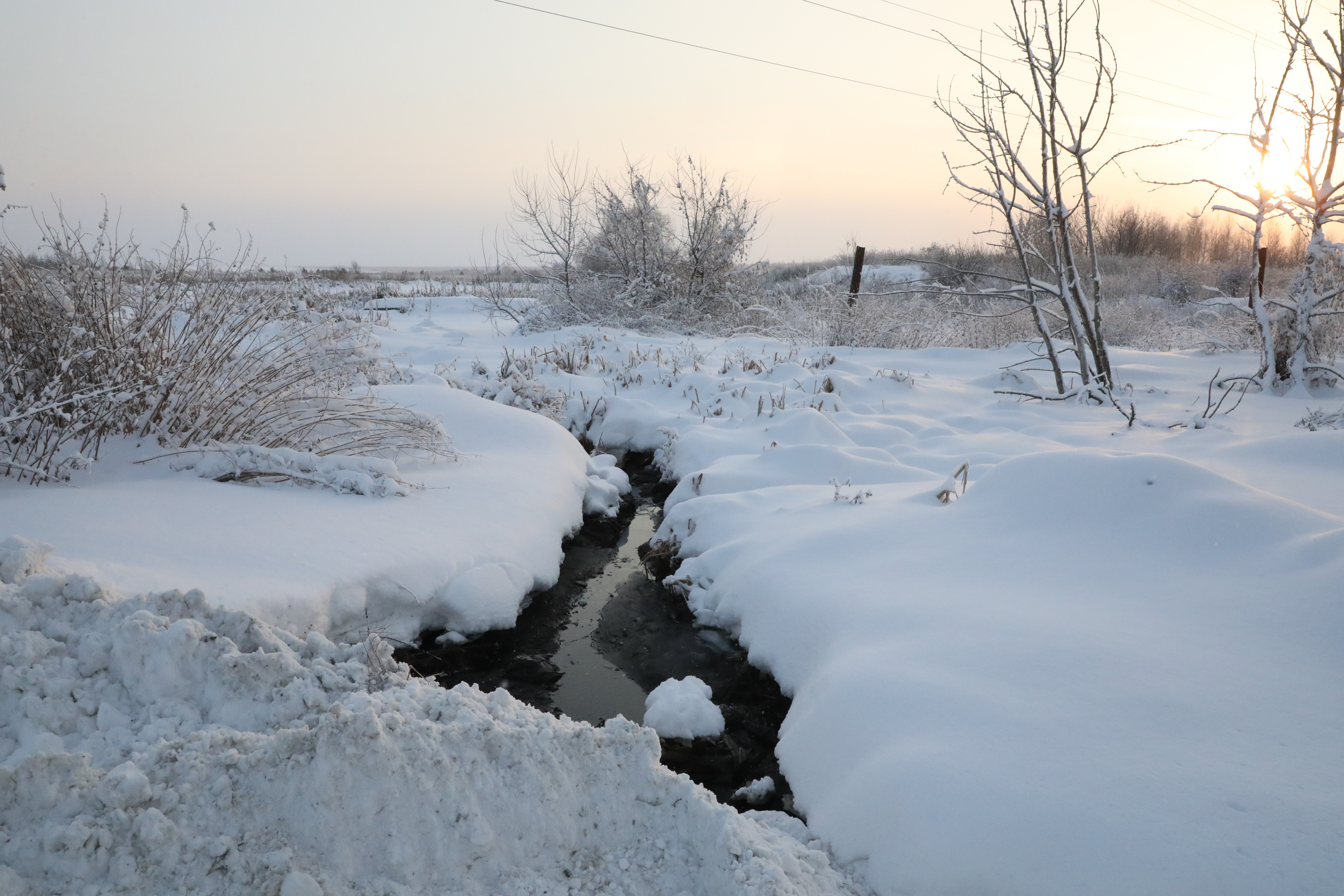 Погода гагино нижегородской на 10 дней