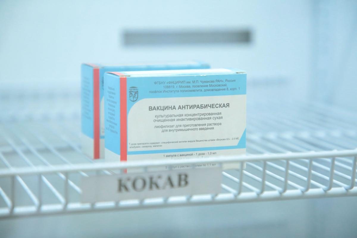 Мелик-Гусейнов опроверг информацию об отправке 15% вакцин от COVID-19 в Москву