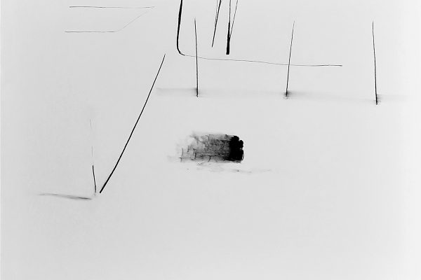 В галерее FUTURO открылась новая выставка