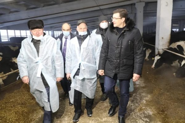>В 2021 году объем поддержки животноводческих хозяйств в Нижегородской области вырастет на 8,5%