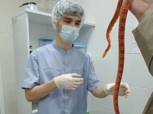 Первый отдел клинической лаборатории для животных начал работать в&nbsp;регионе