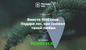 Укорени свою любовь: нижегородцы могут подарить именной лес своим вторым половинкам на 14 февраля
