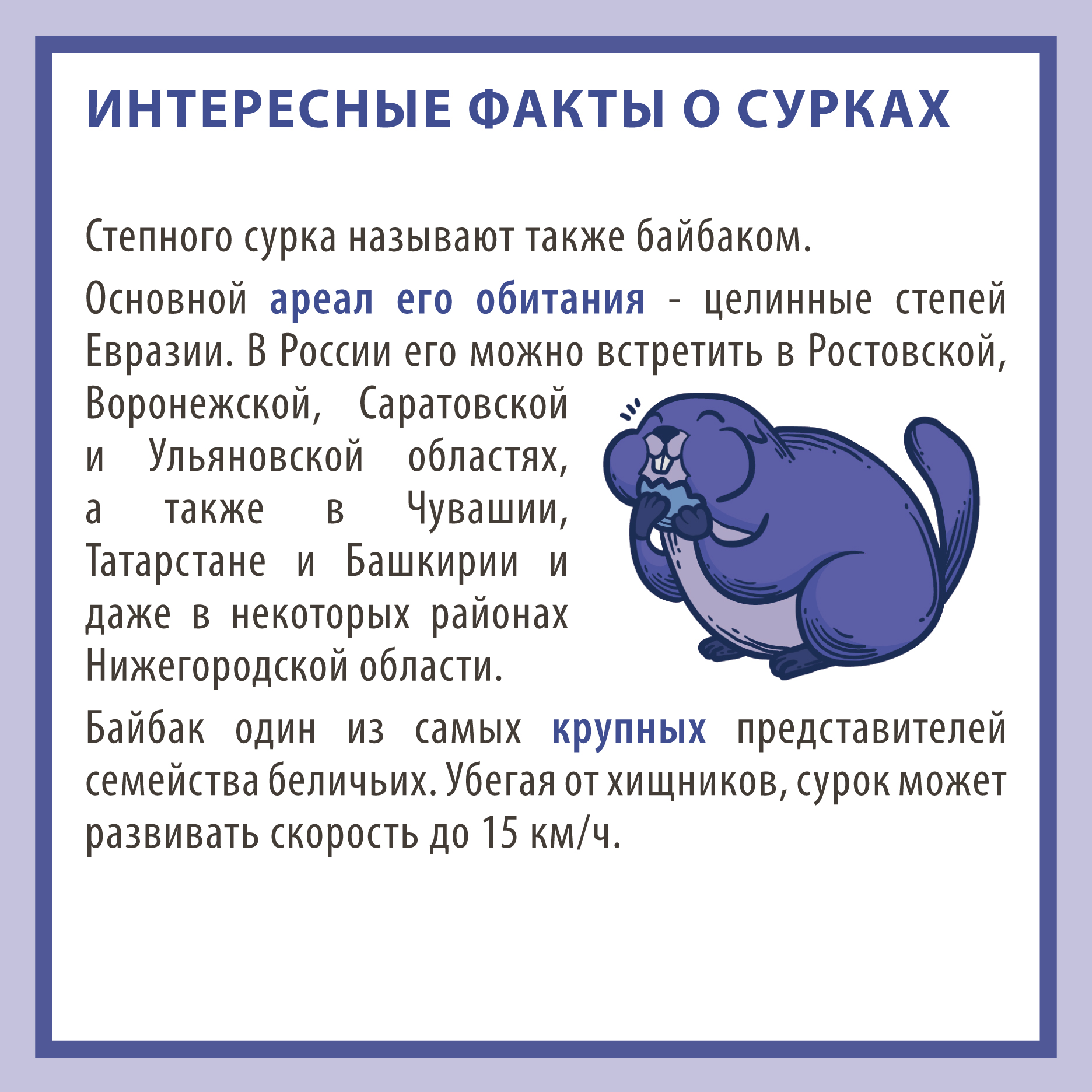 День сурка прикол