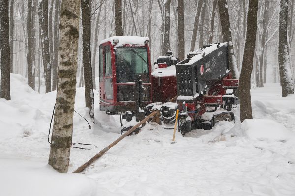 В парке «Швейцария» началась прокладка водоснабжения