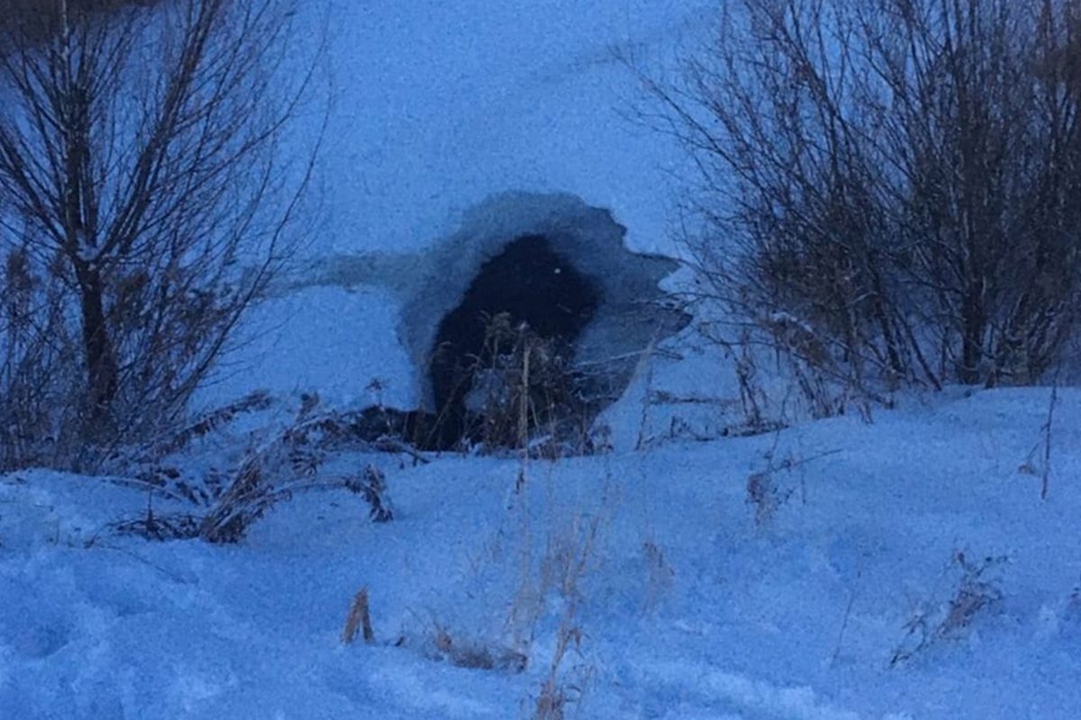 Ребенок погиб, провалившись под лед на озере в Кстовском районе: еще двоих детей спасли
