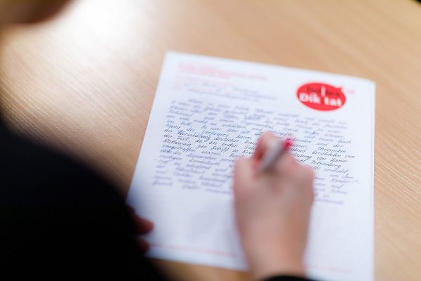 Нижегородцы смогут бесплатно проверить уровень знания иностранного языка