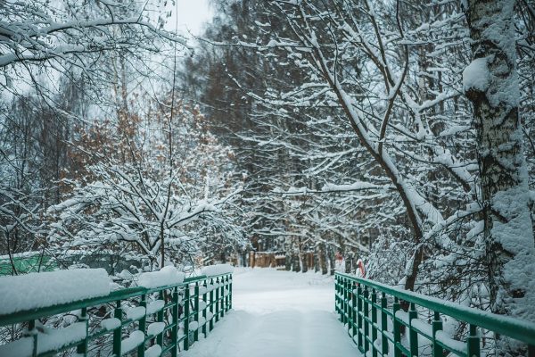 Парк «Швейцария» в Нижнем Новгороде полностью откроется для посетителей до 20 декабря