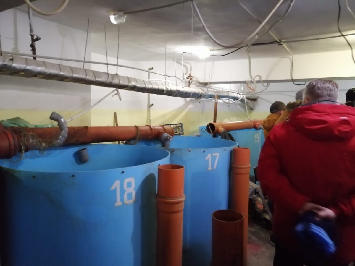 Нелегальную рыбную ферму в подвале дома закрыли на 10 суток в Московском районе Нижнего Новгорода