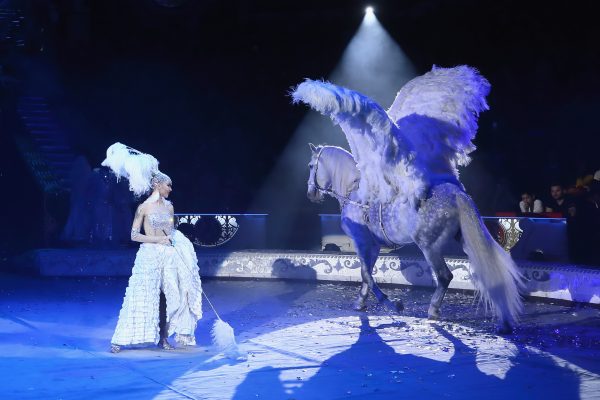 Нижегородский цирк открылся после долгого перерыва