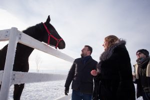 Приговоренные к смерти: как в первом в регионе Центре реабилитации спасают лошадей, привезенных с&nbsp;бойни