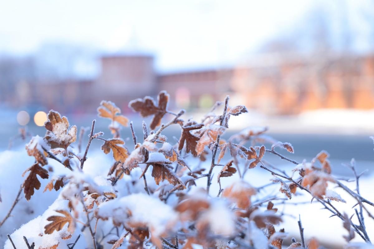 Морозы ударят в Нижегородской области на следующей неделе