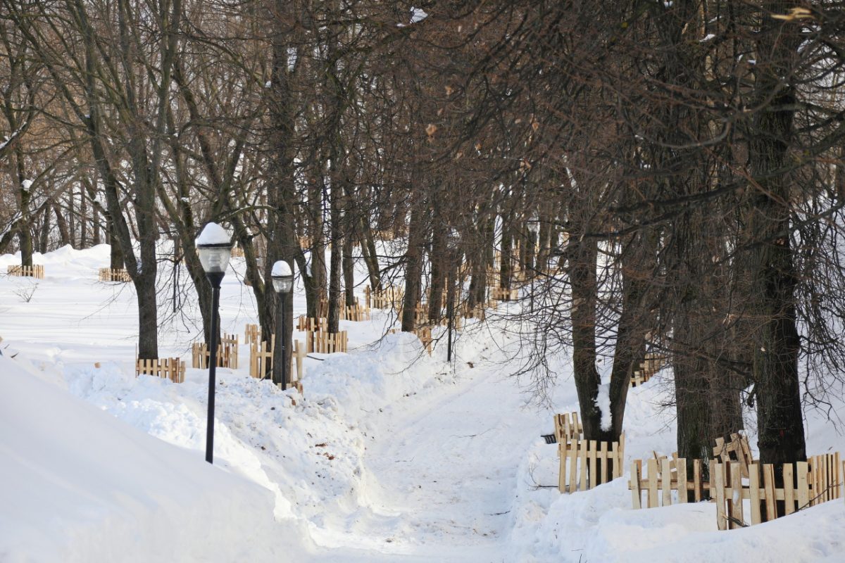 Депутаты оценили ход работ по благоустройству Александровского сада в Нижнем Новгороде