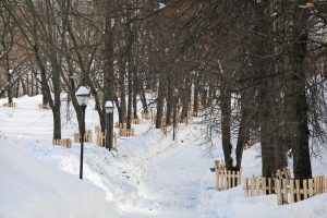 Депутаты оценили ход работ по&nbsp;благоустройству Александровского сада в&nbsp;Нижнем Новгороде