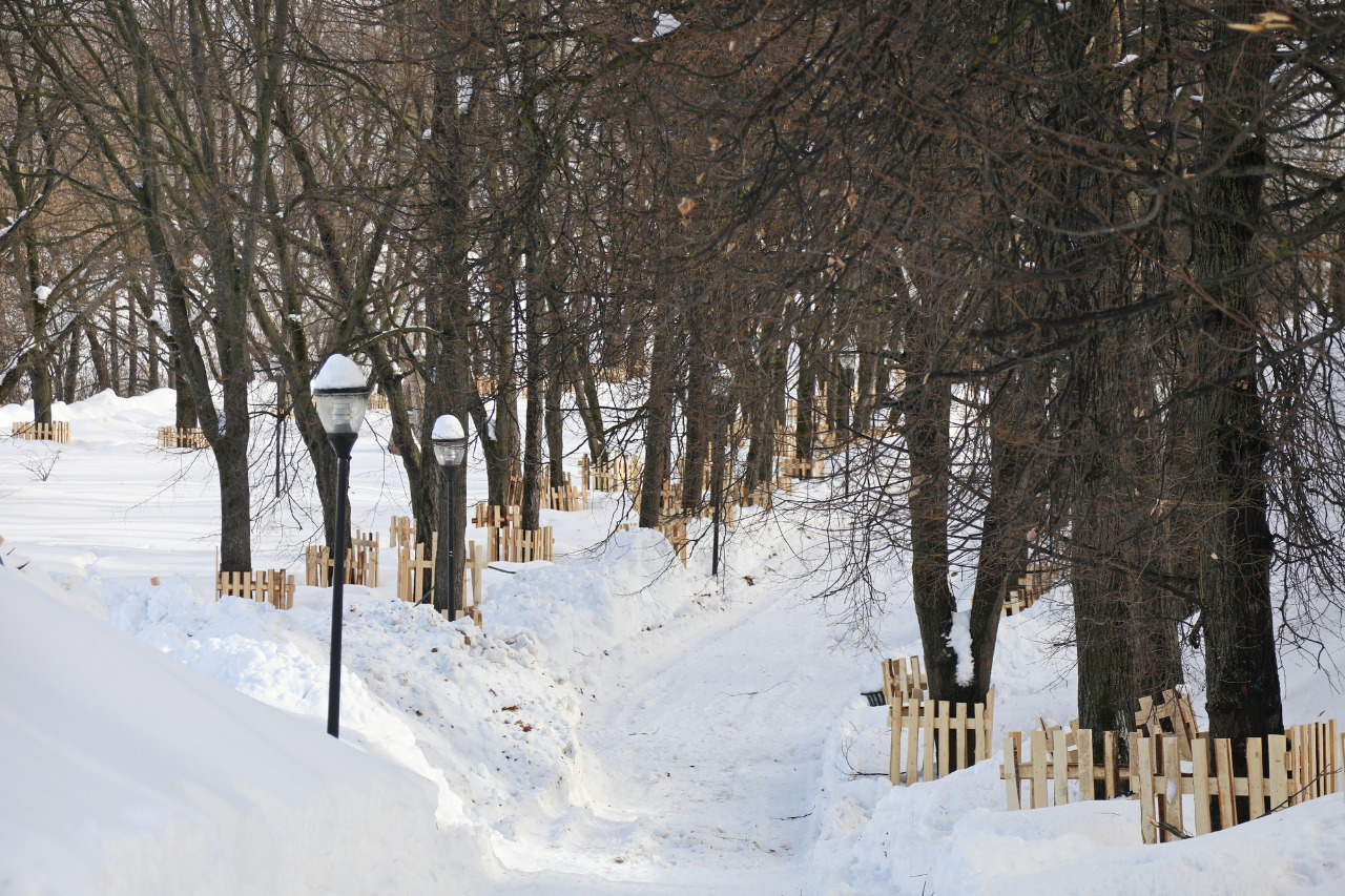 Парк Александровский сад зимой Нижний Новгород